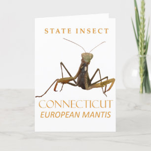 Cartes Pour Fêtes Annuelles Territoire Du Connecticut Insérez Le Mantis Europé