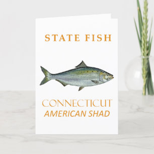 Cartes Pour Fêtes Annuelles Territoire du Connecticut Pêche l'Alose Américaine