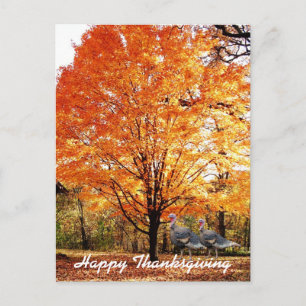 Cartes Pour Fêtes Annuelles Thanksgiving Autumn Tree avec la Turquie sauvage