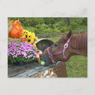 Cartes Pour Fêtes Annuelles Thanksgiving de cheval
