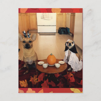 Cartes Pour Fêtes Annuelles Thanksgiving de chien