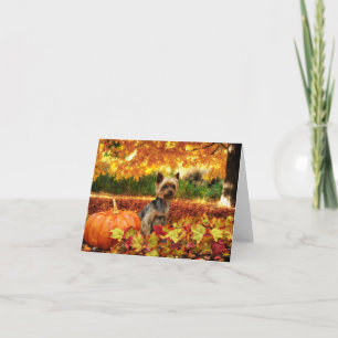 Cartes Pour Fêtes Annuelles Thanksgiving de chute - Tucker - Yorkie