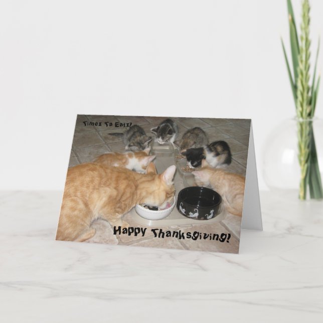 Cartes Pour Fêtes Annuelles Thanksgiving de minous ! (Devant)