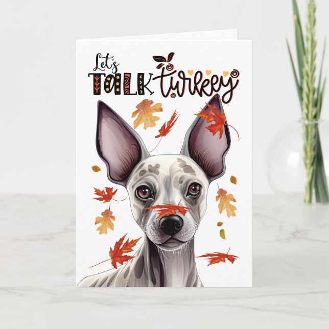 Cartes Pour Fêtes Annuelles Thanksgiving Hairless Terrier Parlons Turquie (Devant)