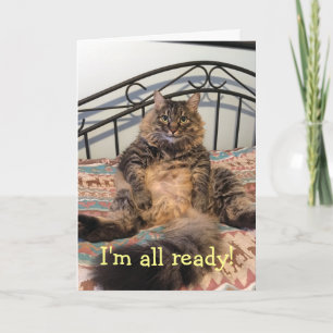 Cartes Pour Fêtes Annuelles Thanksgiving Hungry Cat Thanksgiving Card