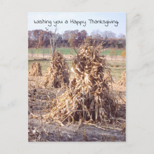 Cartes Pour Fêtes Annuelles Thanksgiving Retro Automne Cornstalest Harvest