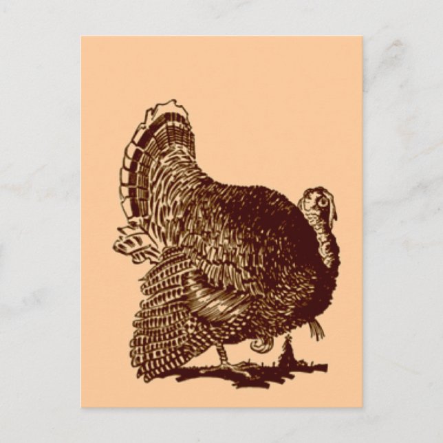 Cartes Pour Fêtes Annuelles Thanksgiving Turquie (Devant)