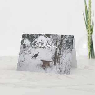 Cartes Pour Fêtes Annuelles Thanksgiving Turquie