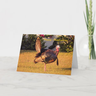 Cartes Pour Fêtes Annuelles Thanksgiving Turquie