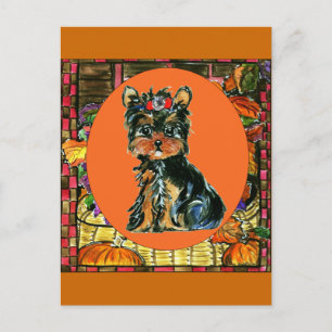 Cartes Pour Fêtes Annuelles Thanksgiving Yorkie Poo