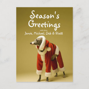 Cartes Pour Fêtes Annuelles The dog wears Father Christmas's clothes 2