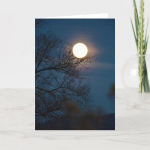 Cartes Pour Fêtes Annuelles The Full Cold Supermoon Folded Holiday Card
