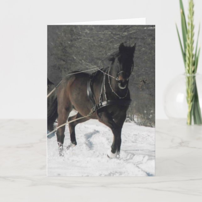 Cartes Pour Fêtes Annuelles Thomas dans la neige (Devant)