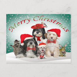 Cartes Pour Fêtes Annuelles Tibetan Terrier Christmas With Friends