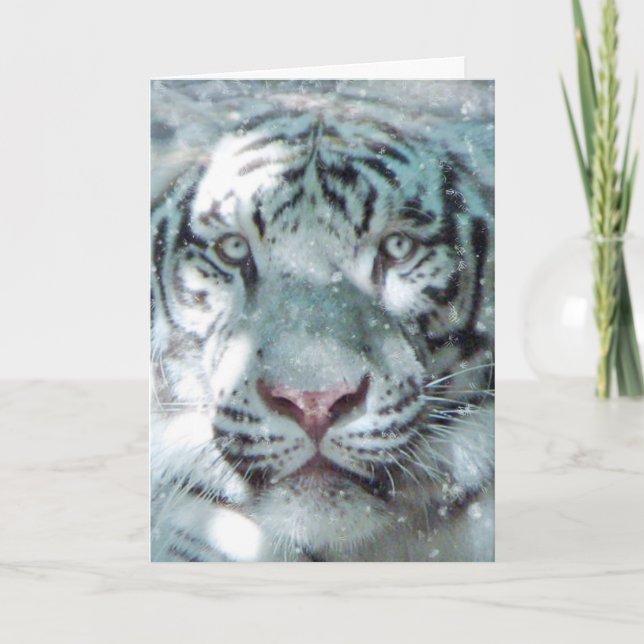 Cartes Pour Fêtes Annuelles Tigre blanc d'hiver (Devant)