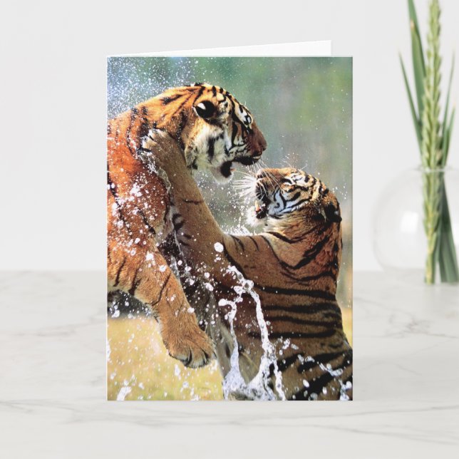 CARTES POUR FÊTES ANNUELLES TIGRES DE COMBAT (Devant)