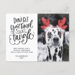 Cartes Pour Fêtes Annuelles Tinsel dans un Tangle Funny Chien Photo Noël