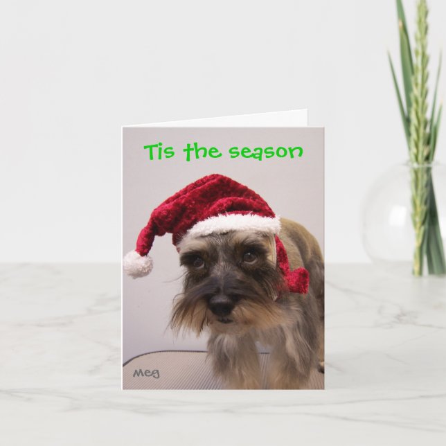 Cartes Pour Fêtes Annuelles Tis la saison (Devant)