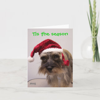 Cartes Pour Fêtes Annuelles Tis la saison
