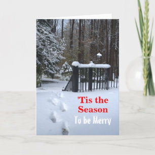 Cartes Pour Fêtes Annuelles 'Tis Season Footprints in Snow Christmas Card