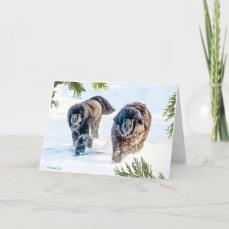Cartes Pour Fêtes Annuelles Tonnerre dans la nouvelle année !