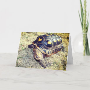 Cartes Pour Fêtes Annuelles Tortoise au coeur motif Valentine Holiday Card