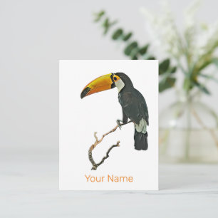 Cartes Pour Fêtes Annuelles Toucan Portrait Animal Tropical Bird Design