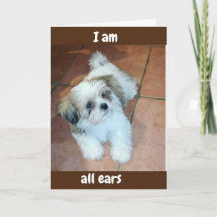 CARTES POUR FÊTES ANNUELLES **TOUS LES OREILLES/PRÊTS À ENTENDRE VOUS AVAIENT