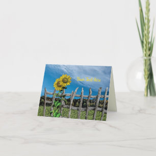 Cartes Pour Fêtes Annuelles Toutes les occasions tournesols et clôture Illustr