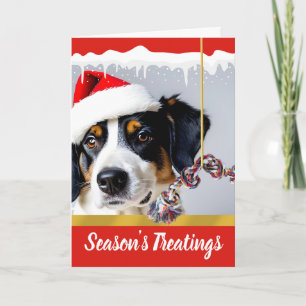 Cartes Pour Fêtes Annuelles Traçages de saison Chien de Noël dans la neige