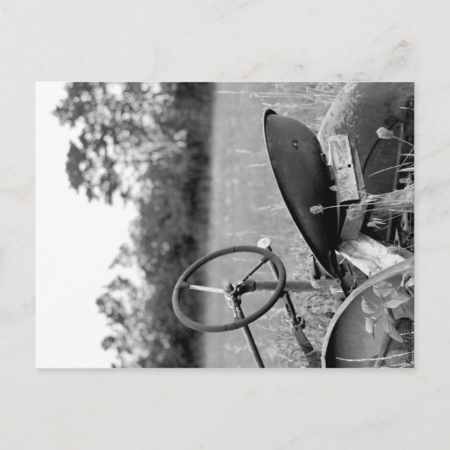 Cartes Pour Fêtes Annuelles Tracteur dans l'herbe longue (Devant)