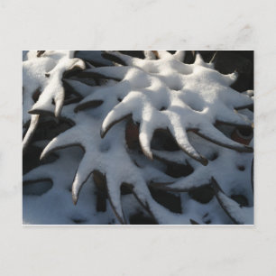 Cartes Pour Fêtes Annuelles Tractor Cultivator Wheel Christmas Postcard