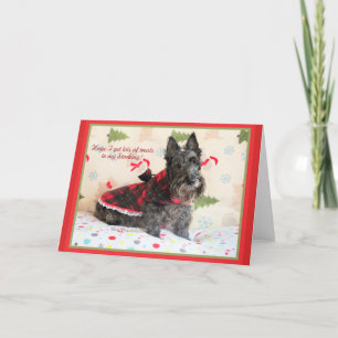 Cartes Pour Fêtes Annuelles Treats In My Stocking