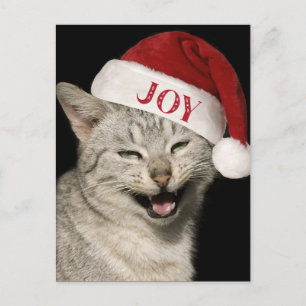 Cartes Pour Fêtes Annuelles Très drôle Père Noël Chat Rire Photo Noël