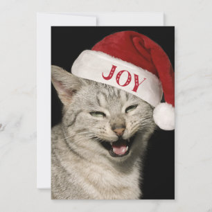 Cartes Pour Fêtes Annuelles Très drôle Père Noël Chat Rire Photo Noël