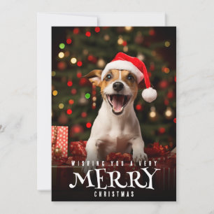 Cartes Pour Fêtes Annuelles Très Joyeux Noël Jack Russel Terrier Chien