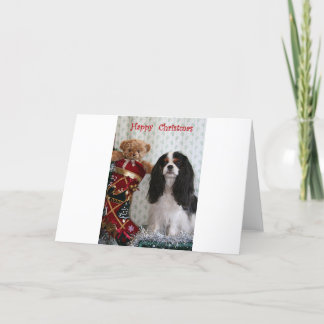 Cartes Pour Fêtes Annuelles Tricolor Christmas Cavalier