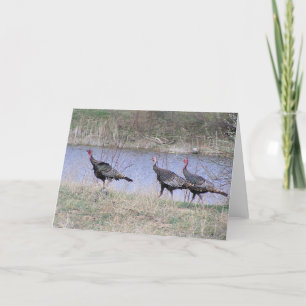 Cartes Pour Fêtes Annuelles Trio de Turkey