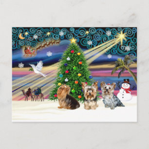Cartes Pour Fêtes Annuelles Trio magique de Yorkie