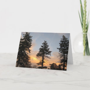 Cartes Pour Fêtes Annuelles Trois arbres au coucher du soleil hivernal