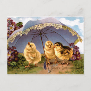 Cartes Pour Fêtes Annuelles Trois charmants pousses de Pâques
