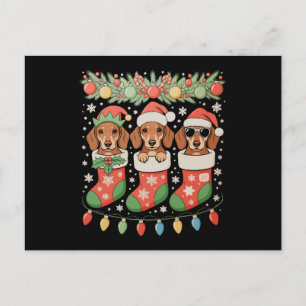 Cartes Pour Fêtes Annuelles Trois chaussettes de Noël amusantes de trois dachs