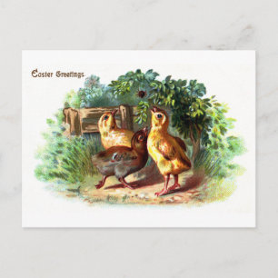 Cartes Pour Fêtes Annuelles Trois pousses et une araignée Pâques Vintages
