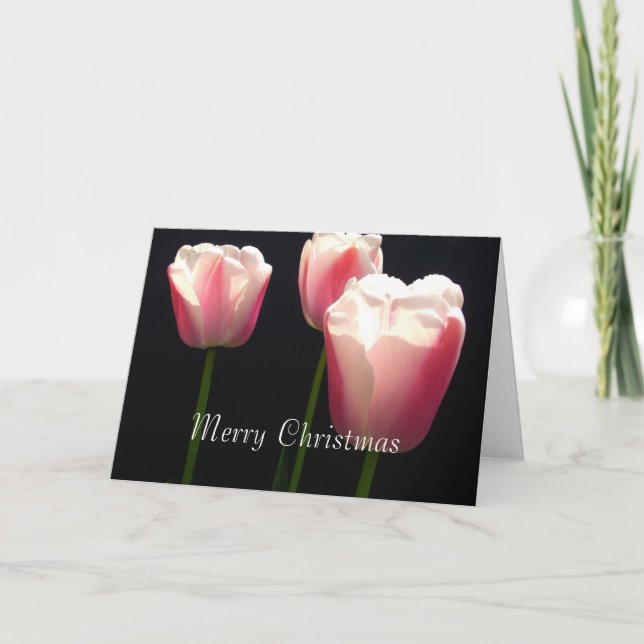 Cartes Pour Fêtes Annuelles Trois tulipes roses.  Noël, vacances. (Devant)