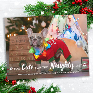 Cartes Pour Fêtes Annuelles Trop mignon pour la liste coquine Funny chien anim