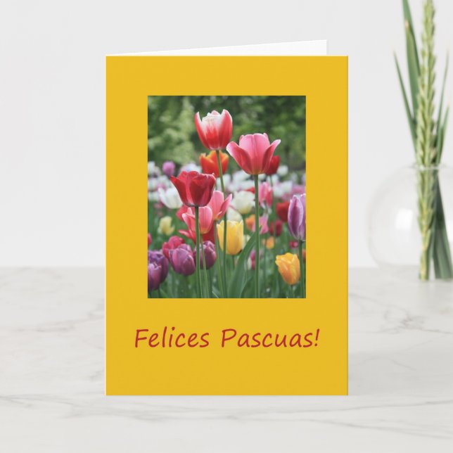 Cartes Pour Fêtes Annuelles Tulipe de Pâques espagnole (Devant)