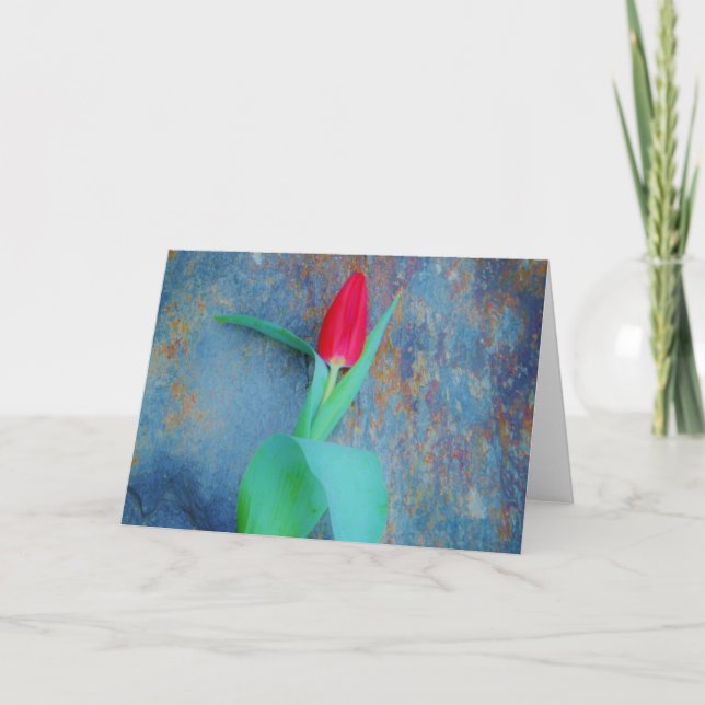 Cartes Pour Fêtes Annuelles Tulipe rouge sur ardoise gris bleu (Devant)