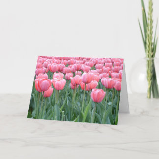 Cartes Pour Fêtes Annuelles Tulipes de Pâques