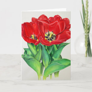 Cartes Pour Fêtes Annuelles Tulipes rouges