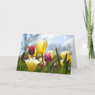 Cartes Pour Fêtes Annuelles Tulipes rouges, jaunes et roses au soleil